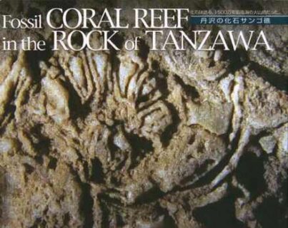 丹沢山地で発見された「アオサンゴ化石」が物語る日本列島誕生の物語